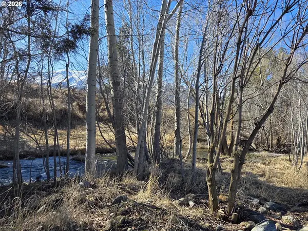 502 W Joseph Ave, Joseph, OR 97846