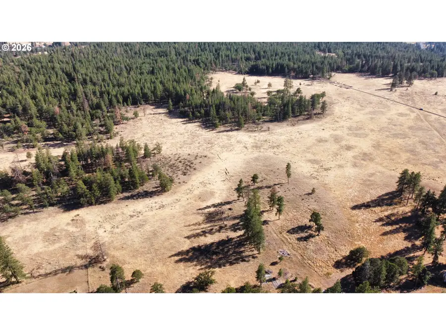 Tanzanite Dr, Goldendale, WA 98620 - #2