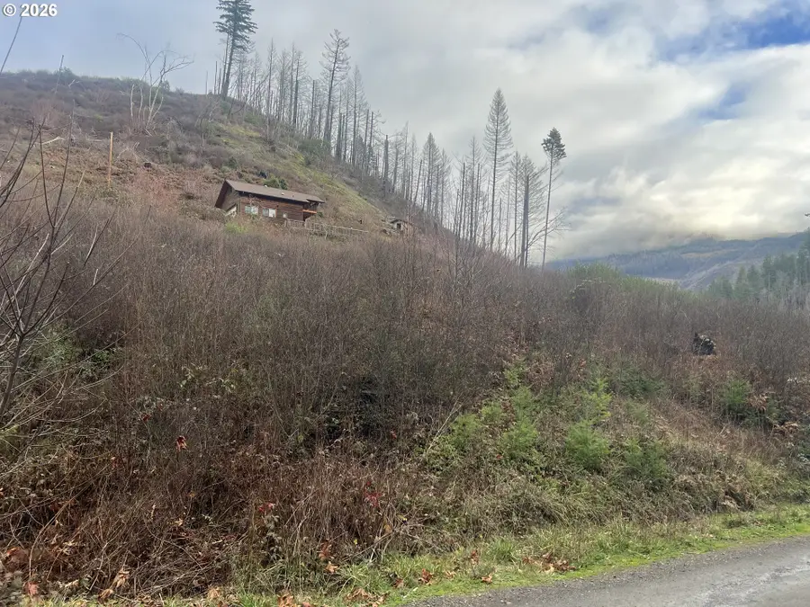 Evergreen Ln, North Umpqua, OR 97447 - Image #3