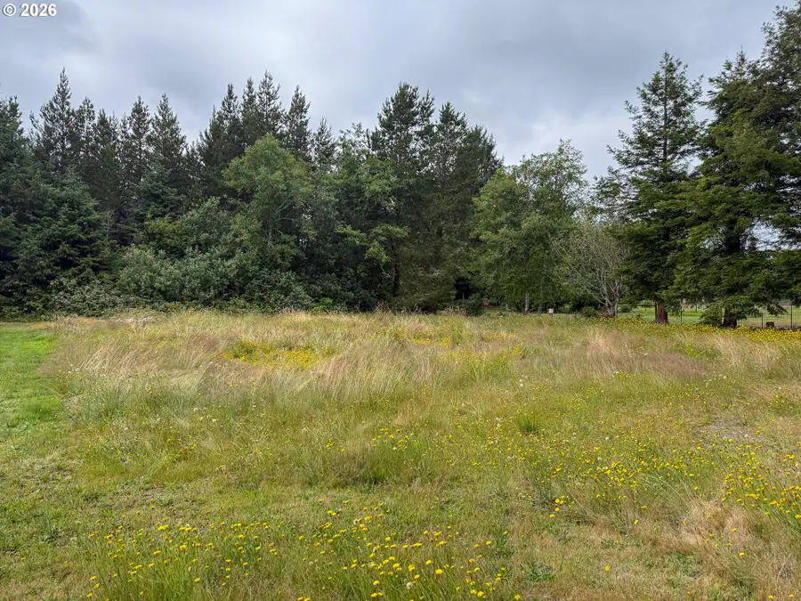 10607 Sandridge Rd, Long Beach North Beach Peninsula, WA 98631 - #3
