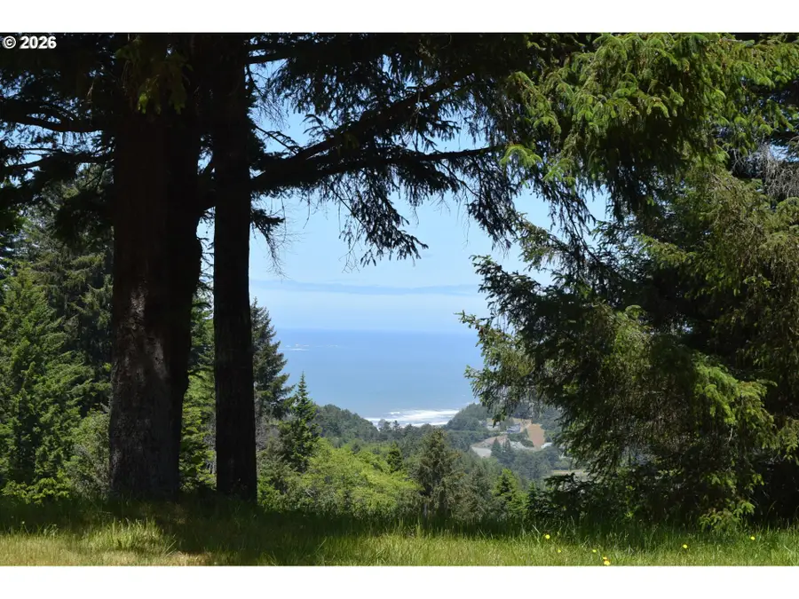 27961 Thimbleberry Rd, Gold Beach, OR 97444 - #3