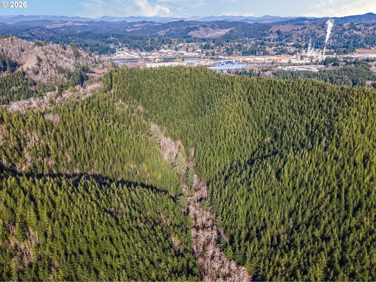 Criteser Loop, Toledo, OR 97391 - #1