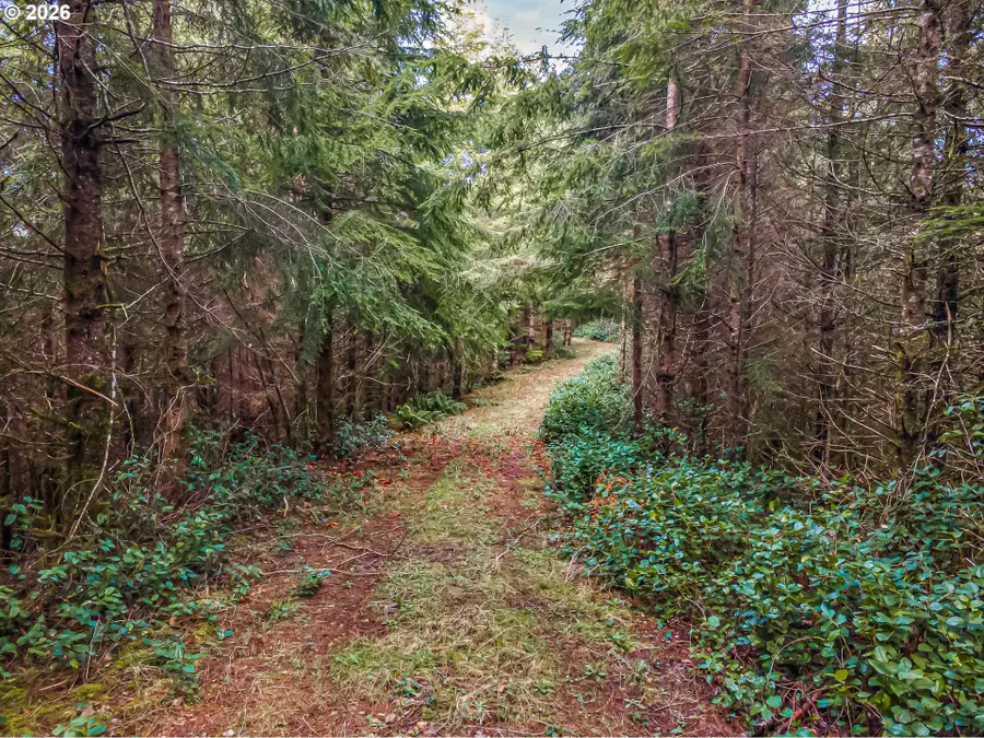 Criteser Loop, Toledo, OR 97391 - #2