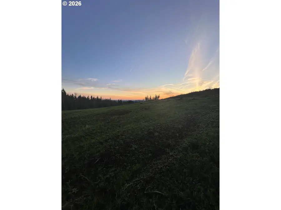 236 Suncrest Dr #1, Castle Rock, WA 98611 - #3