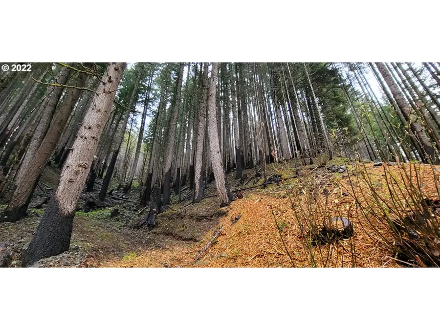 0 Hwy 22, Detroit, OR 97342 - Image #3