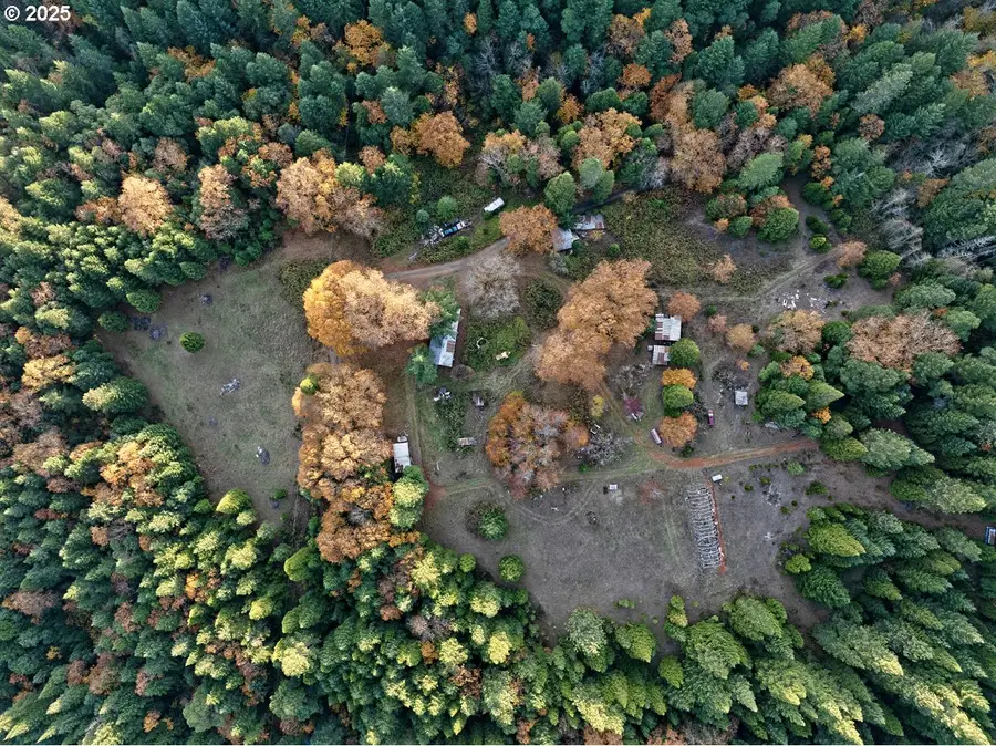 1480 Bridge Ln, Wolf Creek, OR 97497 - Image #3