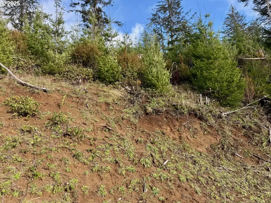 900 Tl Off E. Gleneda Rd, Florence, OR 97439 - Image #3