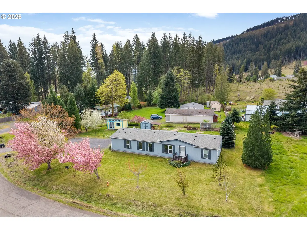 151 Russells Timber Ln, Carson, WA 98610 - #1