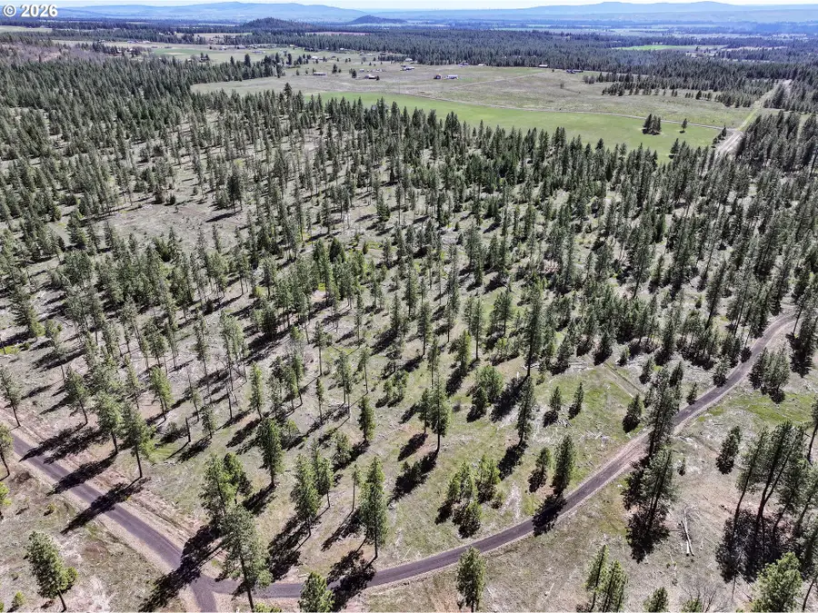 Ginger Way #1, Goldendale, WA 98620 - #2