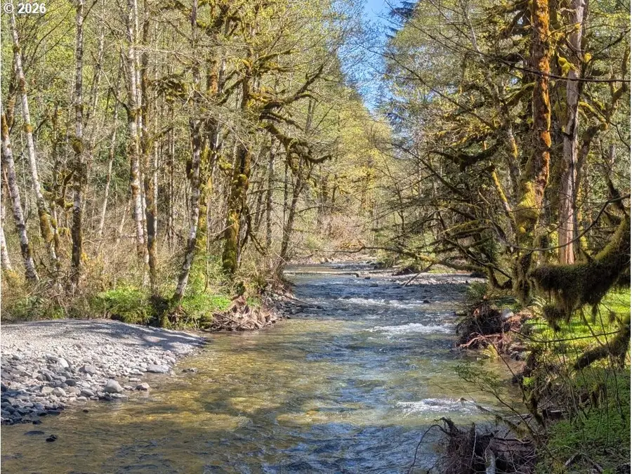 30460 E Rd 12 Lot 133, Rhododendron, OR 97049 - #3
