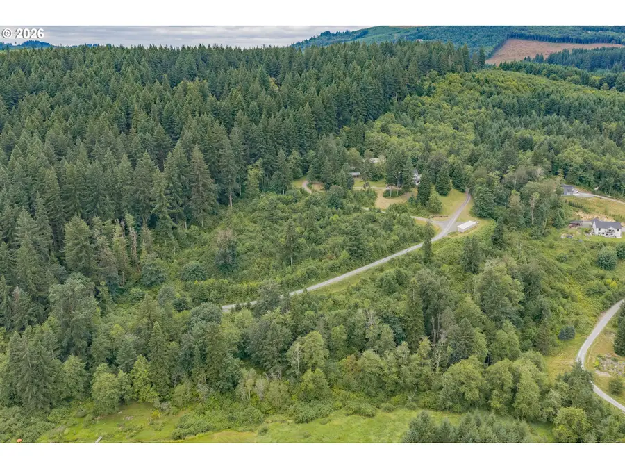 24810 W Humphrey St, Yacolt, WA 98675 - #3