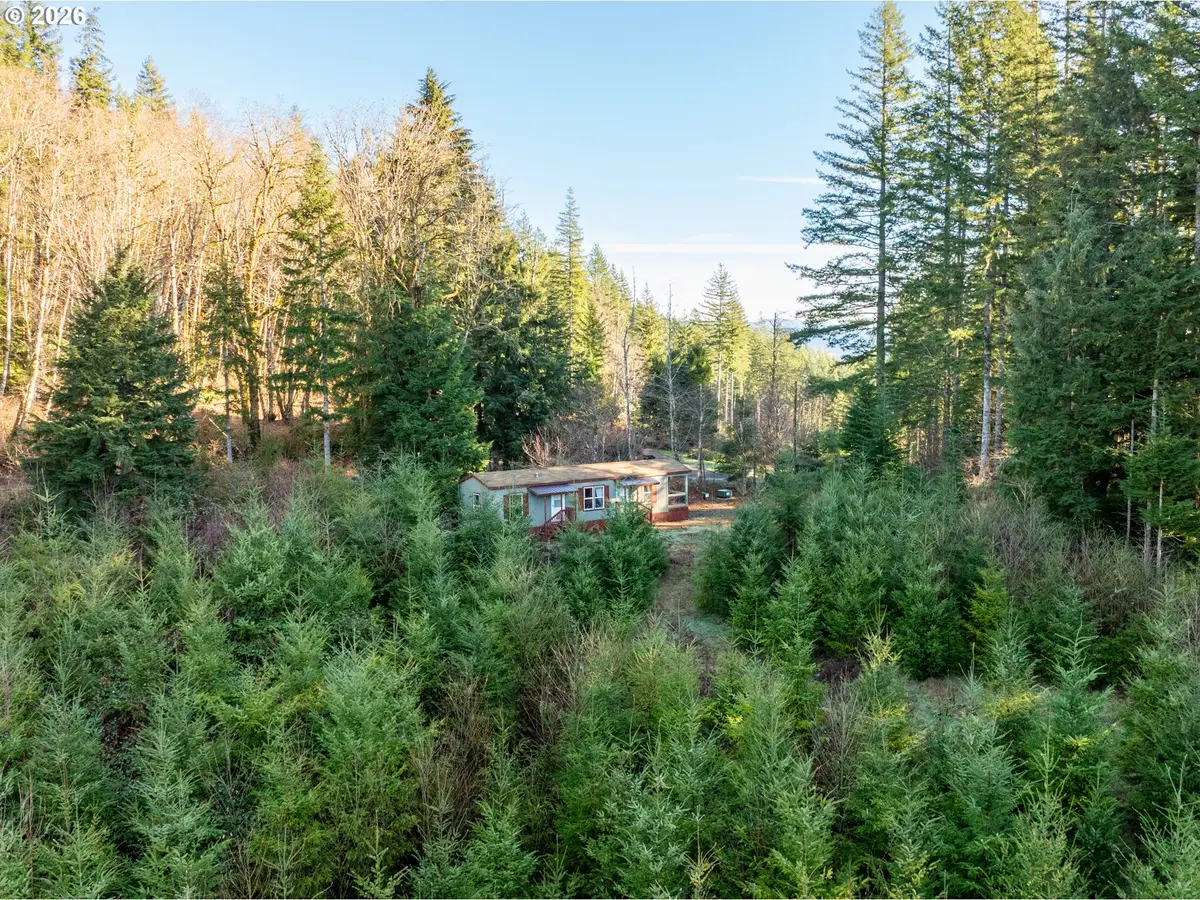 43902 NE Columbia Tie Rd, Amboy, WA 98601 - Image #1