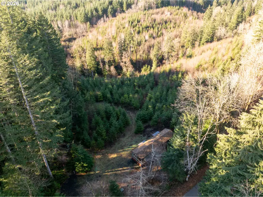 43902 NE Columbia Tie Rd, Amboy, WA 98601 - Image #2