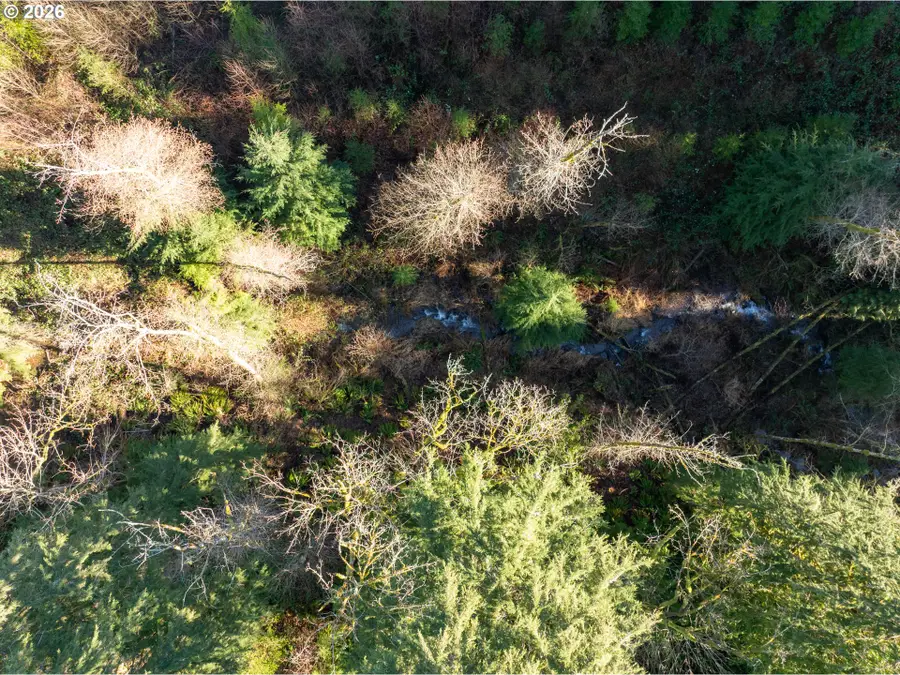 43902 NE Columbia Tie Rd, Amboy, WA 98601 - Image #3