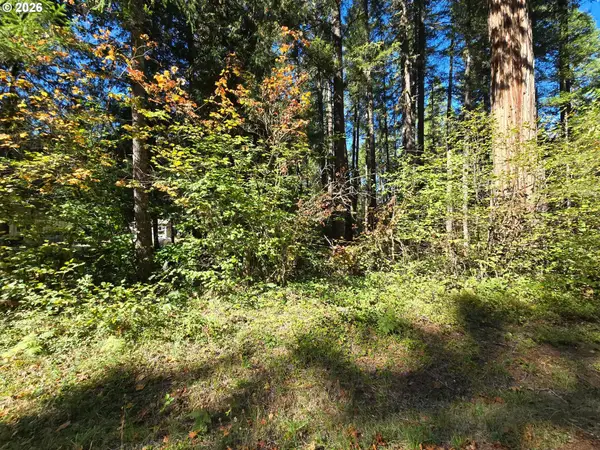 1655231000700, McKenzieBridge, OR 97413
