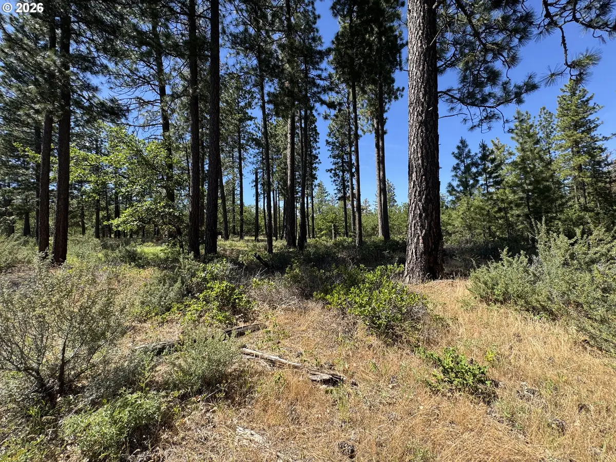 112 Timber Rd, Roosevelt, WA 99356 - #1