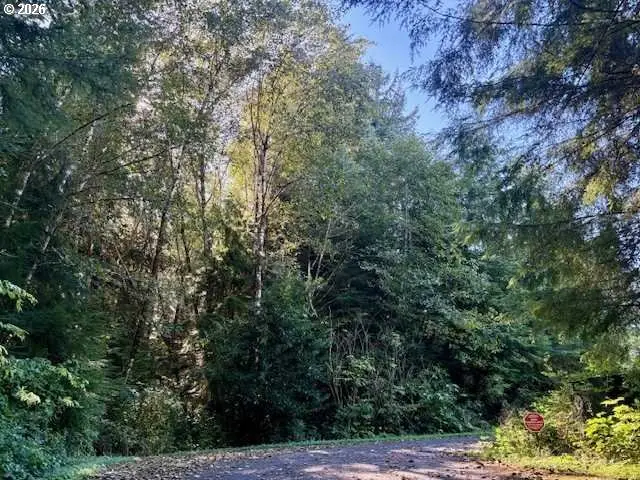 1 Cedar St, Wheeler, OR 97147 - #1