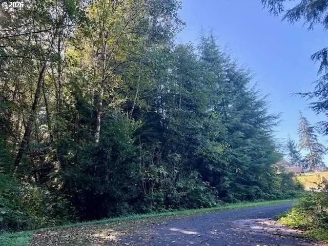 1 Cedar St, Wheeler, OR 97147 - #3