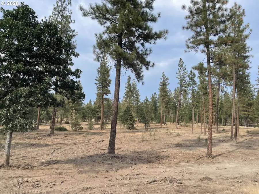 000 Skylar Dr, Goldendale, WA 98620 - #2