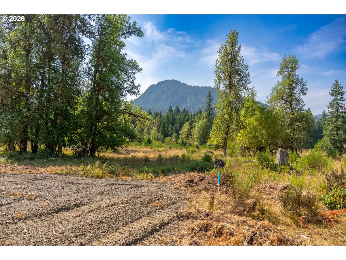 Hawk Meadows Rd #6, Carson, WA 98610 - #1