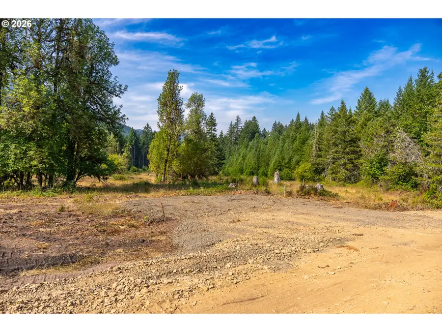 Hawk Meadows Rd #6, Carson, WA 98610 - #2