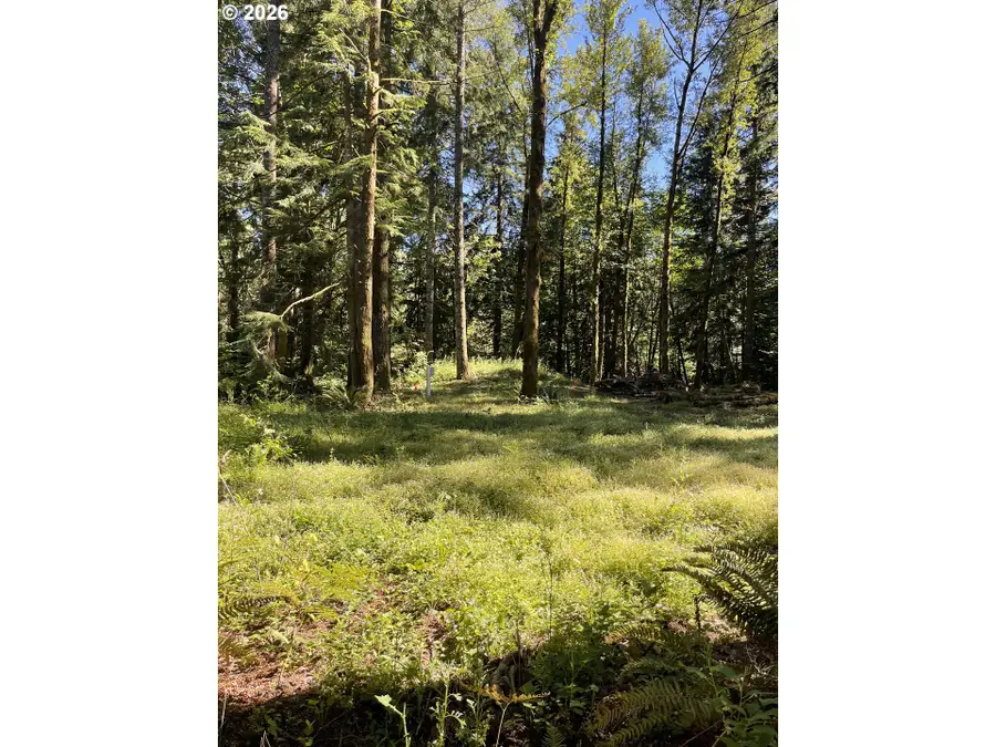 23282 E Sandy Ave, Rhododendron, OR 97049 - #3