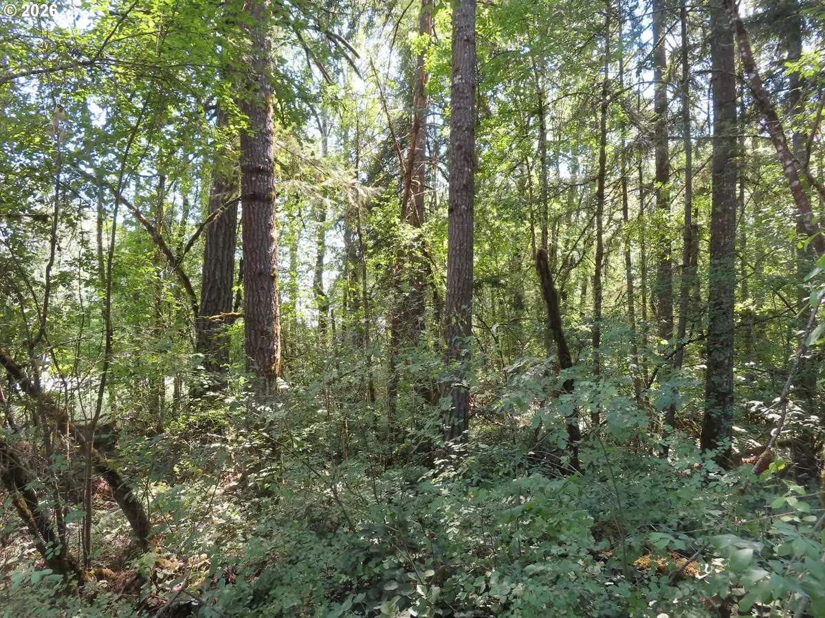 115 Campground Ln, Winlock, WA 98596 - #1
