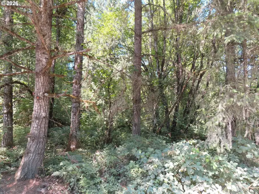 115 Campground Ln, Winlock, WA 98596 - #3