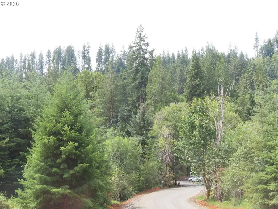 Mill Creek Ln #D, Longview, WA 98632 - #2
