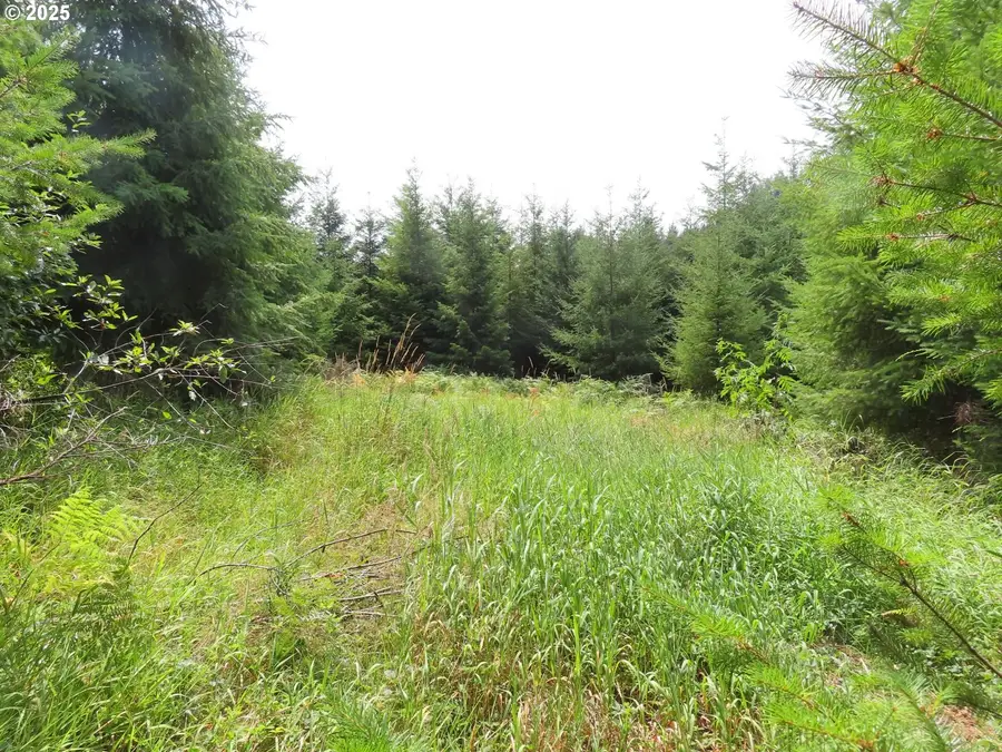 Mill Creek Ln #D, Longview, WA 98632 - #3
