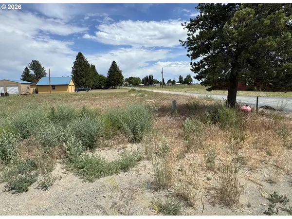 Holly Ln #600, ChristmasValley, OR 97641