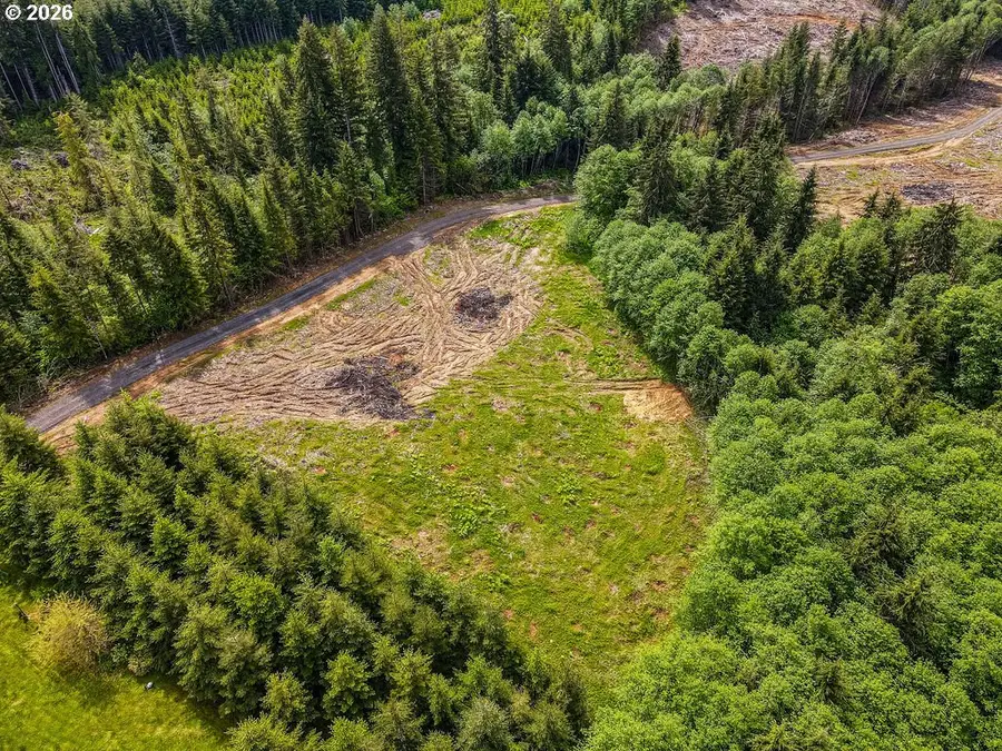 1319 Eufaula Heights Rd, Longview, WA 98632 - #2