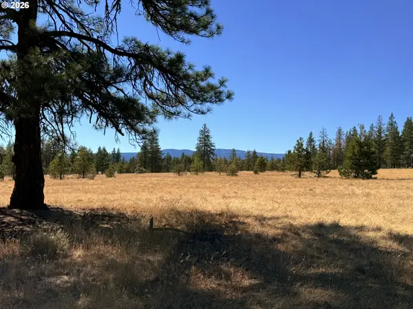 Box Canyon Buckhorn #1, Goldendale, WA 98620