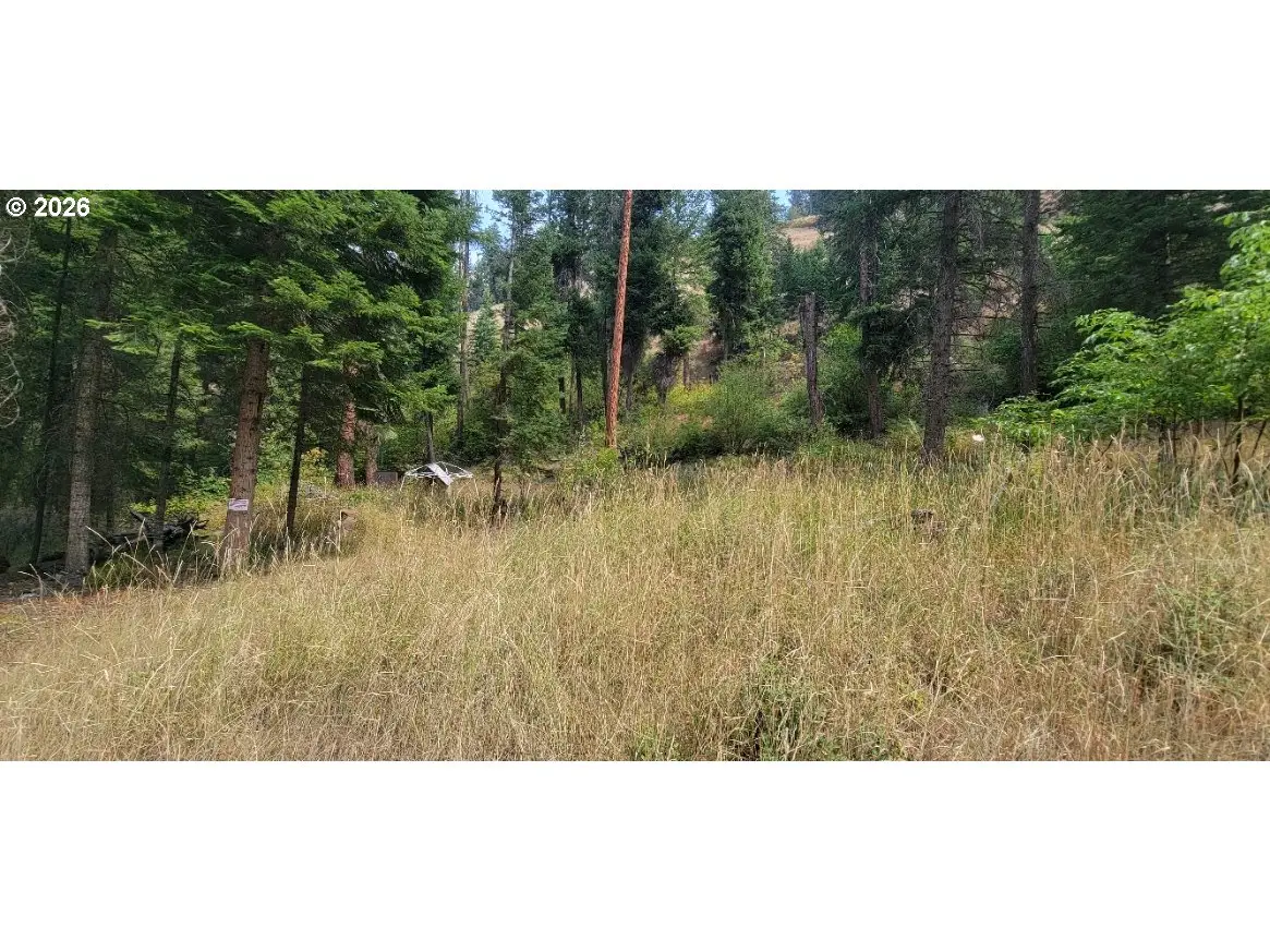 River Canyon Rd #TL 900, Imnaha, OR 97842 - #1