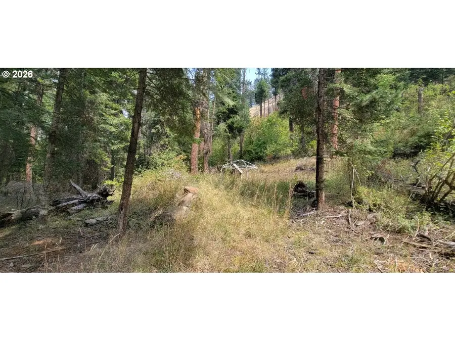 River Canyon Rd #TL 900, Imnaha, OR 97842 - #2