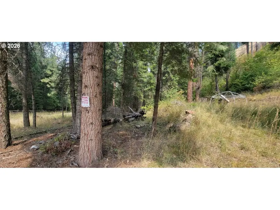 River Canyon Rd #TL 900, Imnaha, OR 97842 - #3