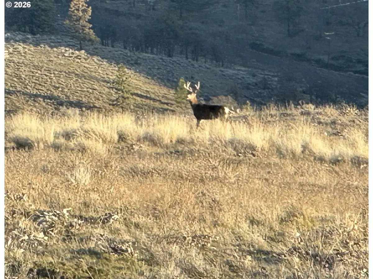 Vista Dr, Goldendale, WA 98620 - #1