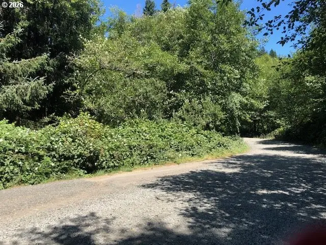 0000 Rose Ln, Bunker Hill, OR 97420 - #2
