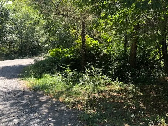 0000 Rose Ln, Bunker Hill, OR 97420 - #3