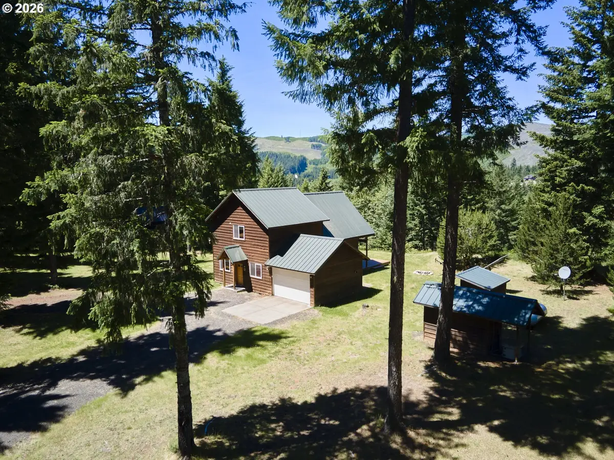 502 Loowit Ln, Cougar, WA 98616 - #1