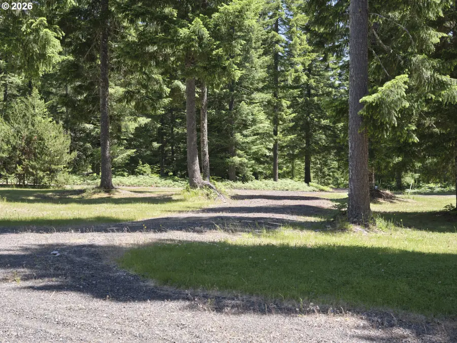 502 Loowit Ln, Cougar, WA 98616 - #3