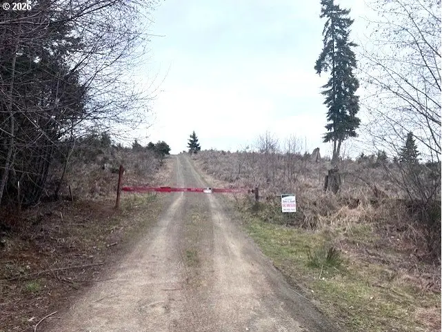 Timber Rd, Timber, OR 97144 - #1