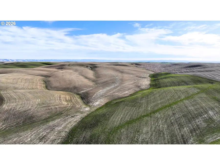 South Juniper Canyon, Helix, OR 97835 - #2