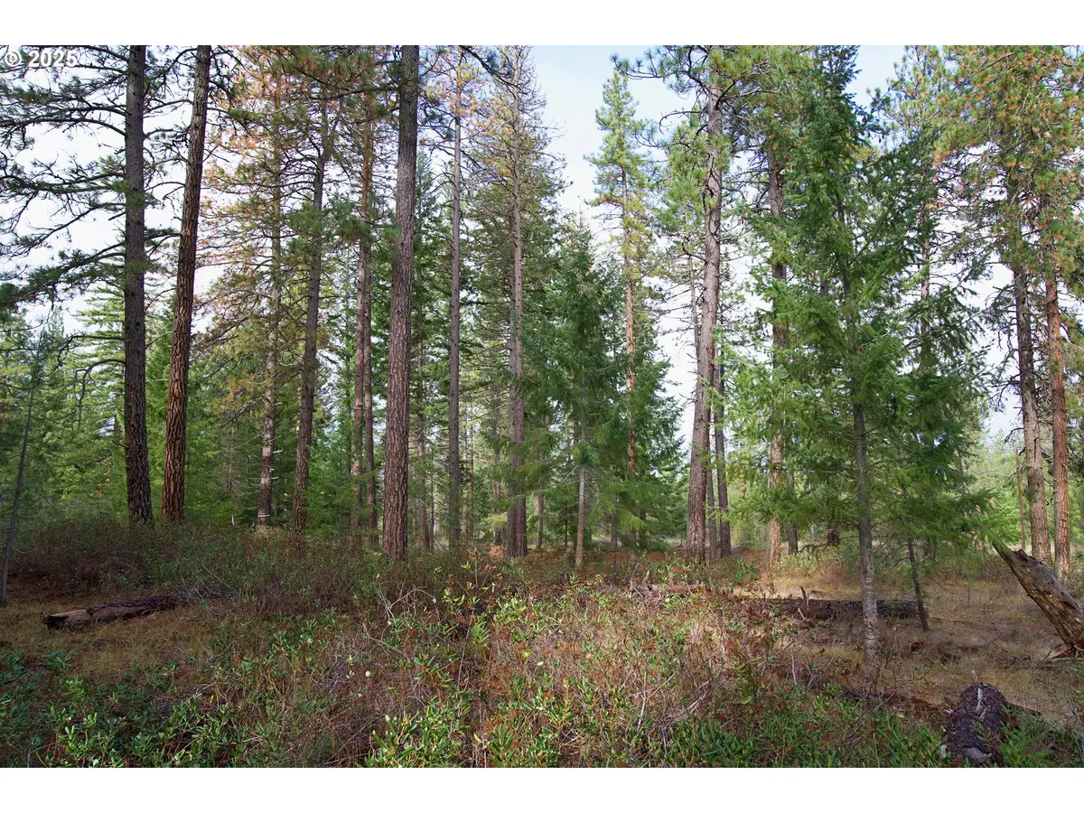 Lonesome Pines Dr #4, Trout Lake, WA 98650 - Image #1