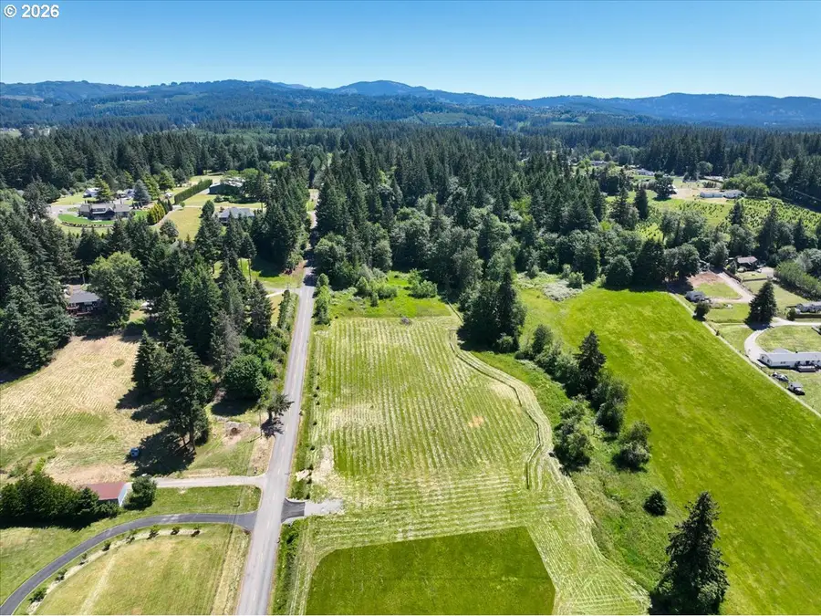 2 NE 144th St, Hockinson, WA 98606 - #3