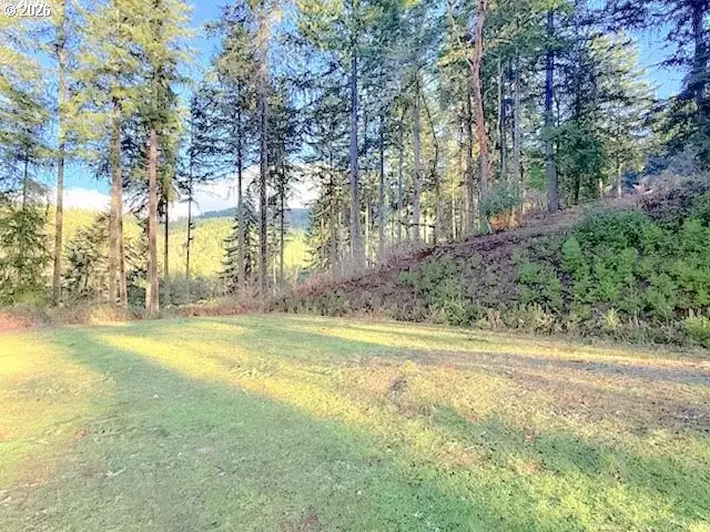 Alder Branch Rd, Springfield, OR 97478 - #3
