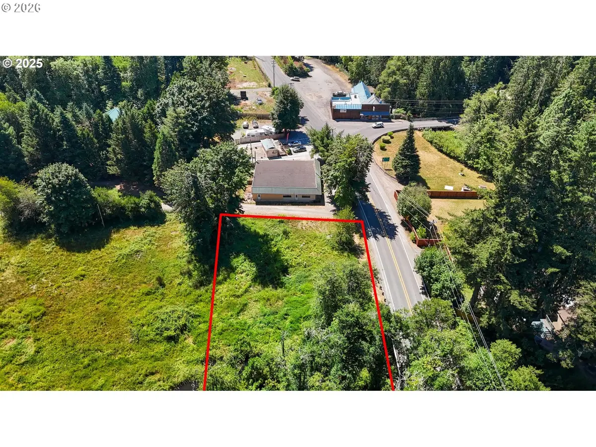 000 NE 221st Ave, Amboy, WA 98601 - #1