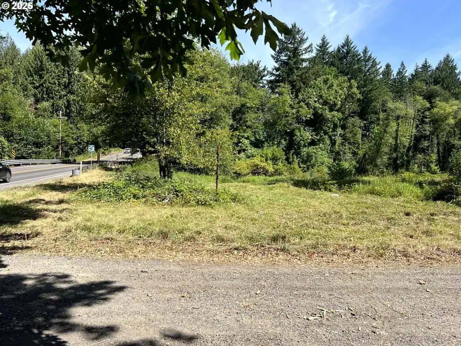000 NE 221st Ave, Amboy, WA 98601 - #3