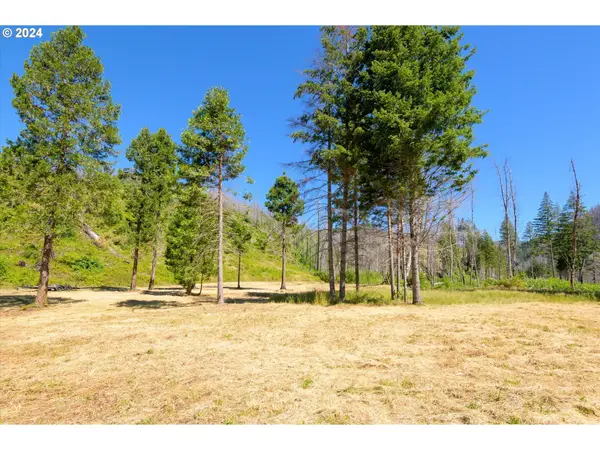 Blue River Rd, Eugene, OR 97401