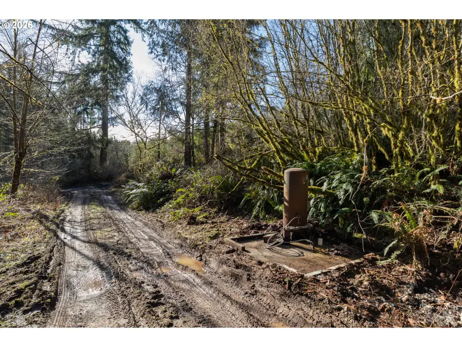 71909 Apiary Rd, Rainier, OR 97048 - #3